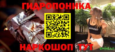 jwh Кингисепп