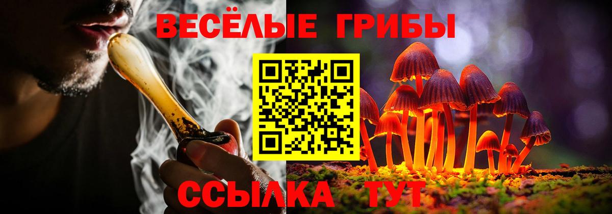 Галлюциногенные грибы мицелий  Вход с VPN  Галлюциногенные грибы Cubensis  Балтийск 