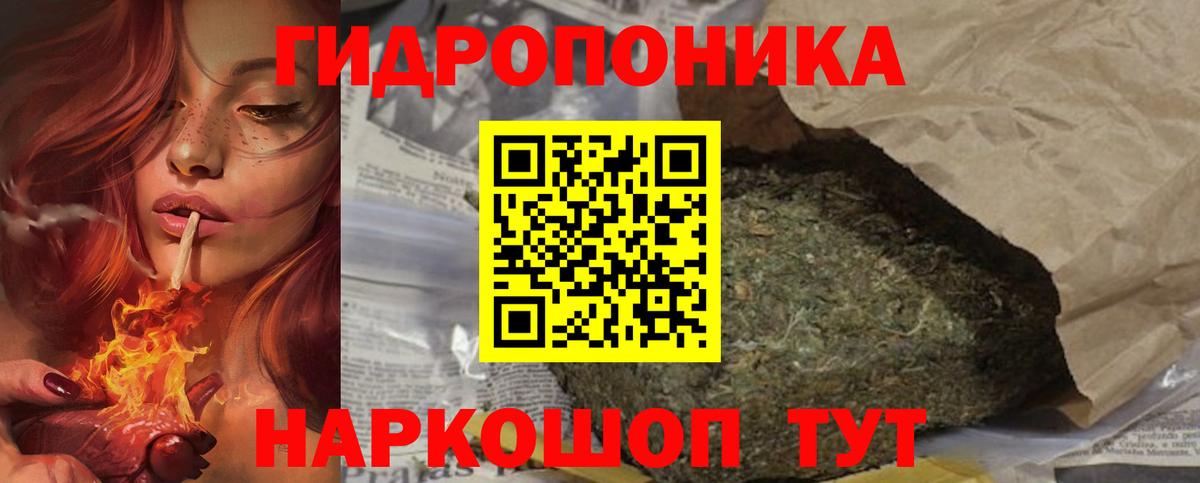 МАРИХУАНА ГИДРОПОН Балтийск